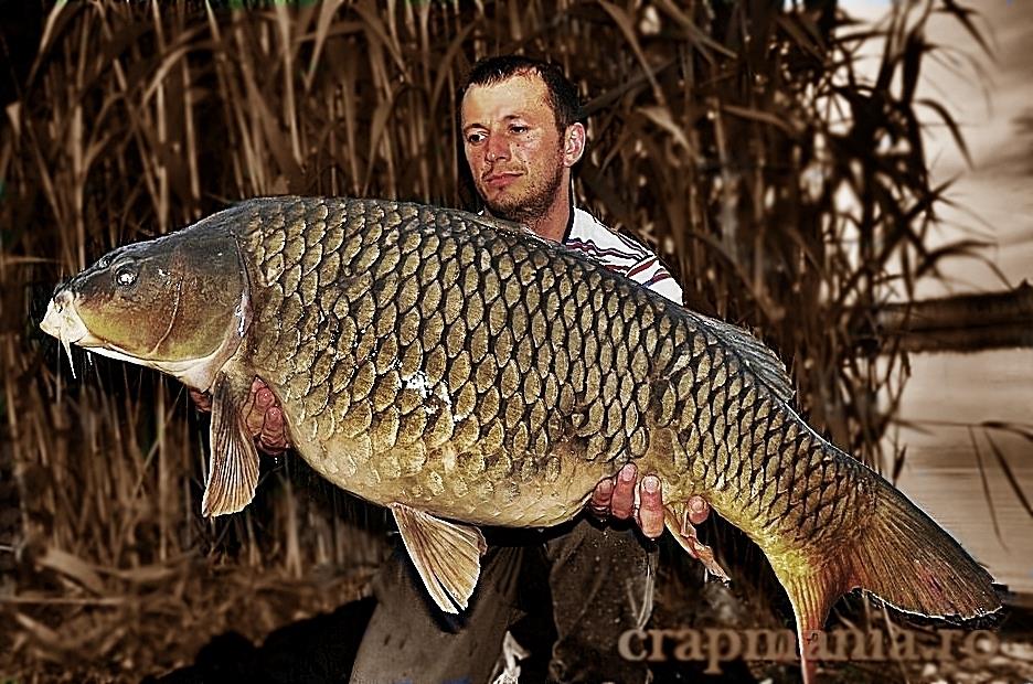 Crapmania (3) - 2011 - 1002770-1a-1zps323e4caf.jpg